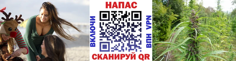 Каннабис марихуана  Купить закладки  Волжск 
